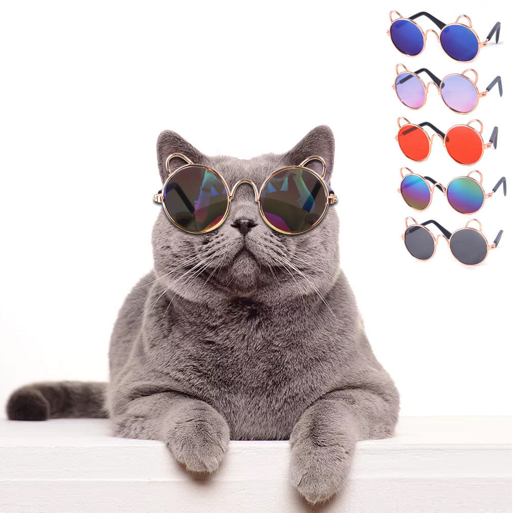 CAT SUNNIES